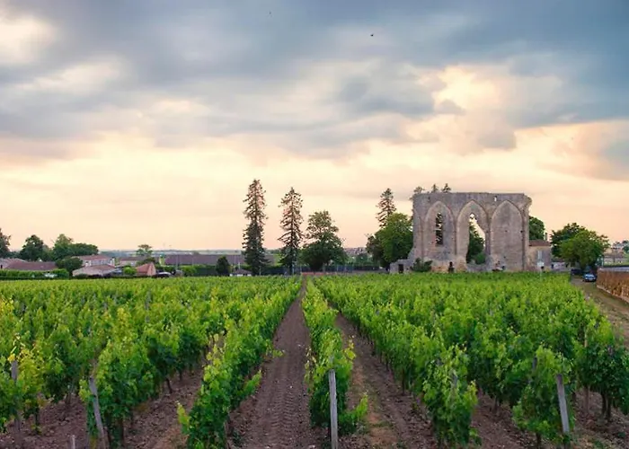 Lesberit * Saint-Medard-de-Guizieres